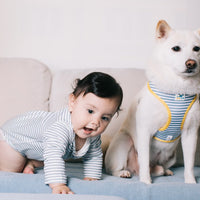 Pet Everyday Reversible Harness