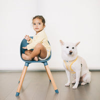 Pet Everyday Reversible Harness
