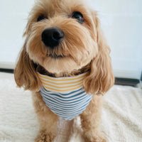 Pet Everyday Reversible Bandana