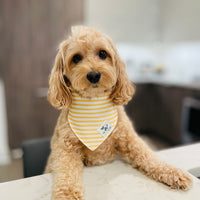 Pet Everyday Reversible Bandana