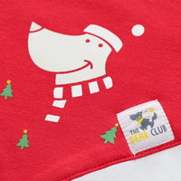Baby Holiday Bibs Set of 2