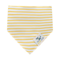 Pet Everyday Reversible Bandana