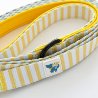 Pet Everyday Reversible Leash