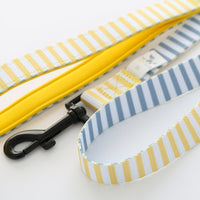 Pet Everyday Reversible Leash
