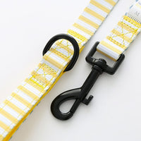 Pet Everyday Reversible Leash