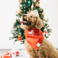 Pet Holiday Reversible Bandana