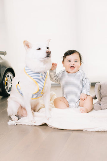 Pet Everyday Reversible Harness