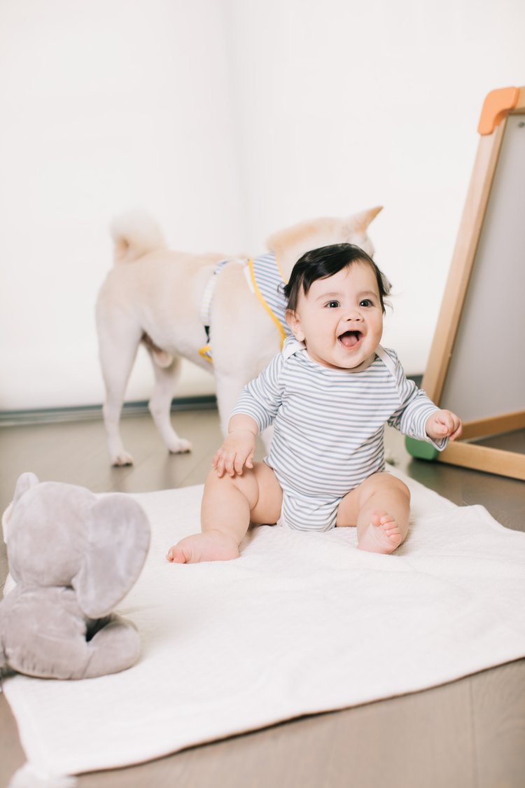 Baby Everyday Stripe Long Sleeve Bodysuit