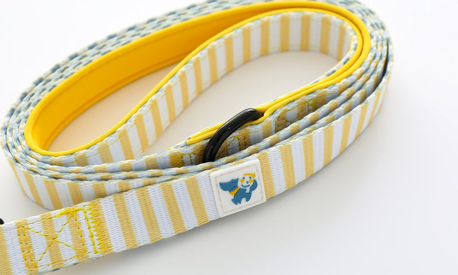 Pet Everyday Reversible Leash