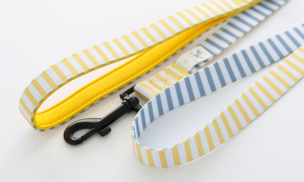 Pet Everyday Reversible Leash