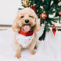 Pet Holiday Reversible Bandana