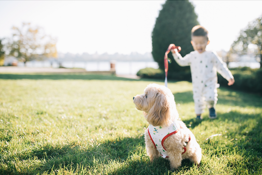 Pet Holiday Reversible Harness