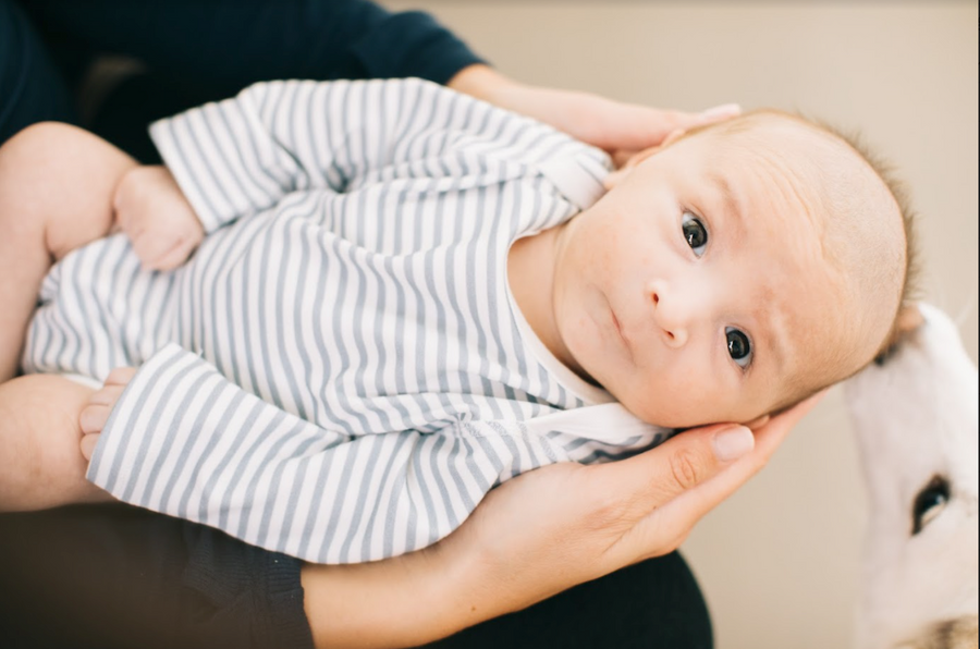 Baby Everyday Stripe Long Sleeve Bodysuit