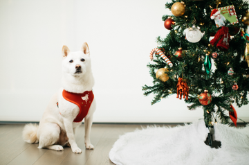 Pet Holiday Reversible Harness