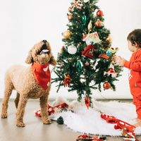 Pet Holiday Reversible Bandana