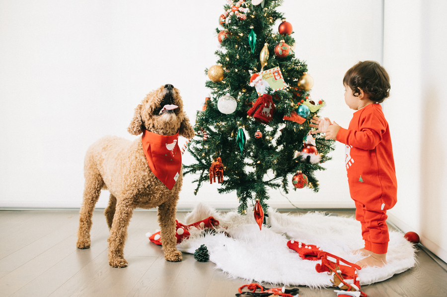 Pet Holiday Reversible Bandana